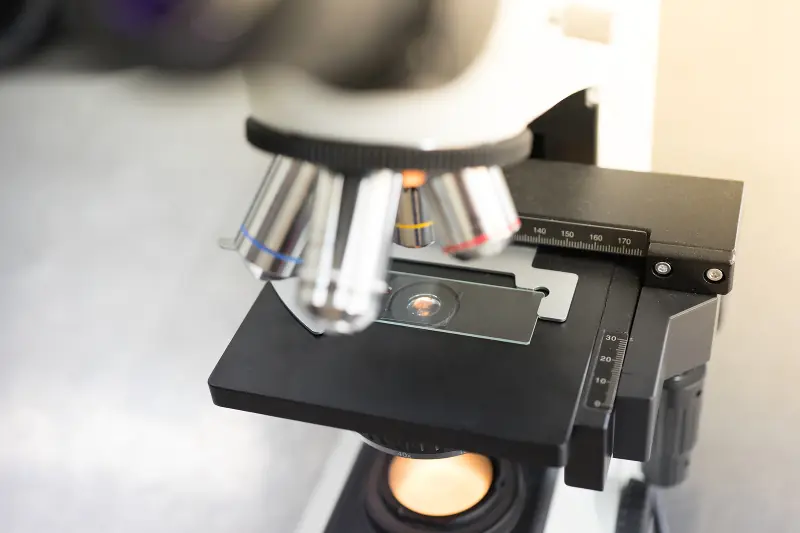 Übersetzung der kompletten Unterlagen für das Unternehmen Bioveta