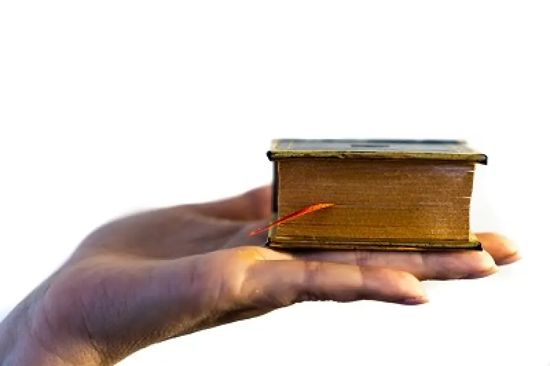 Warum ein Fachtext einen spezialisierten Übersetzer erfordert
